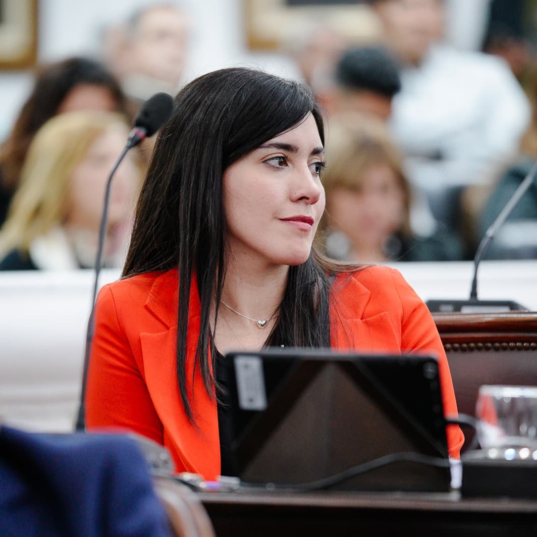 María Fernanda Alcázar, presidenta de la comisión Principios de la Organización Política: “Se hizo una modificación en sentido positivo a la redacción actual que tiene el Preámbulo”