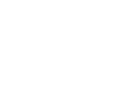 Logo de la Convención Constituyente 2023, Democracia Siempre