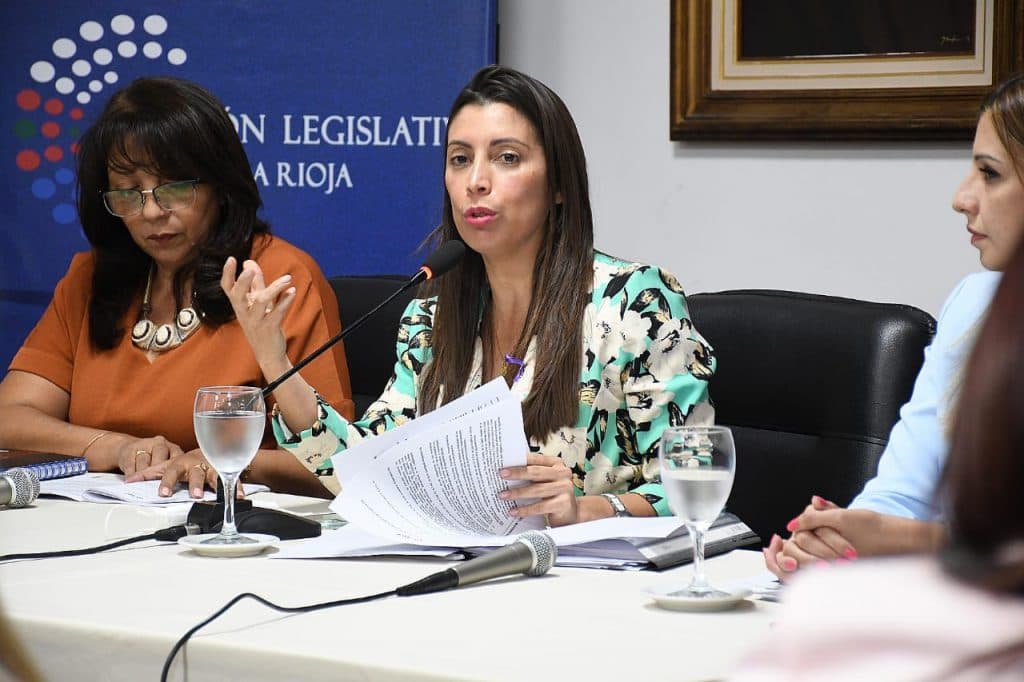 Presentaron “Derechos de la Mujer”, compendio de normas sancionadas con perspectiva de género Presentaron “Derechos de la Mujer”, compendio de normas sancionadas con perspectiva de género