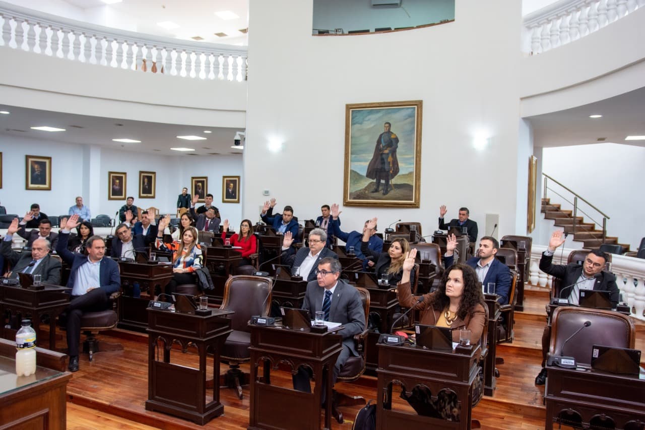 Terminante repudio en la Legislatura y fuertes críticas a Martín Menem Terminante repudio en la Legislatura y fuertes críticas a Martín Menem